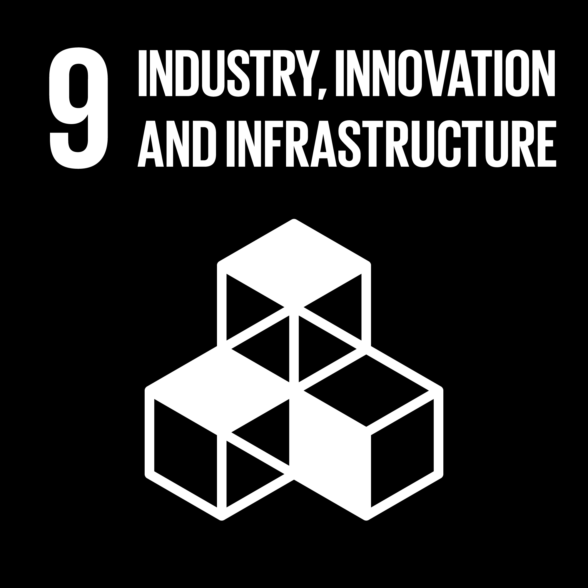 Industries, Innovation and Infrastructure